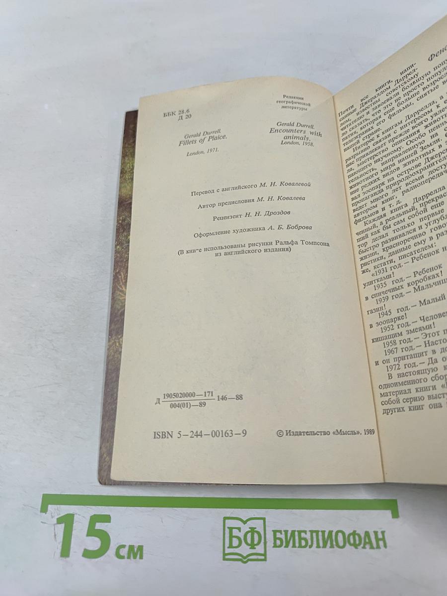 Мясной рулет