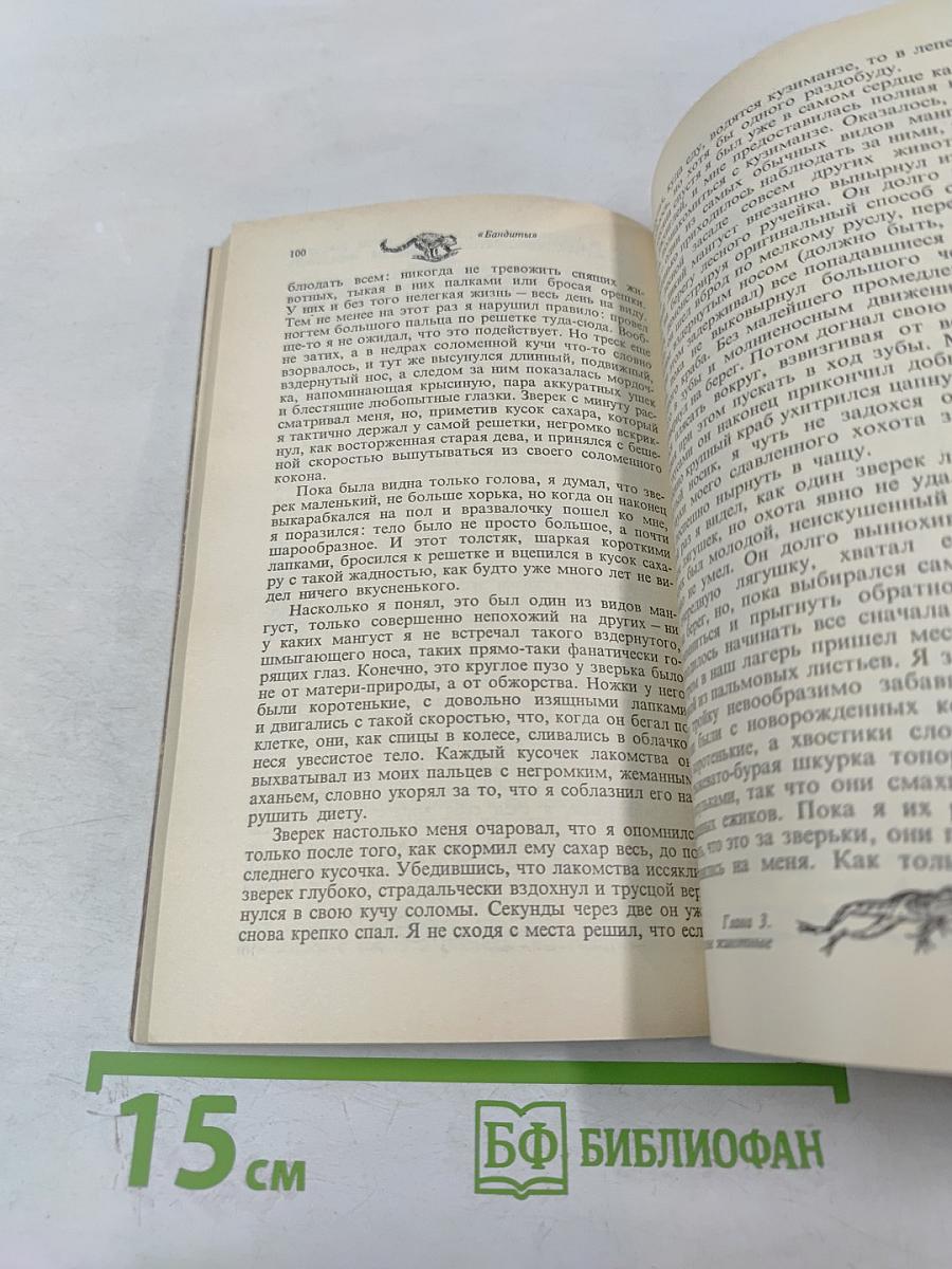 Мясной рулет