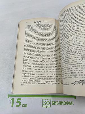 Мясной рулет