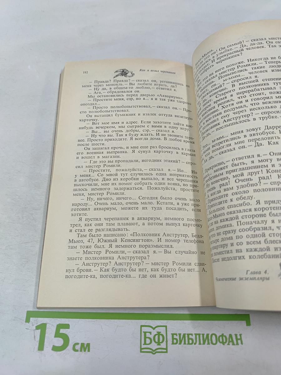 Мясной рулет