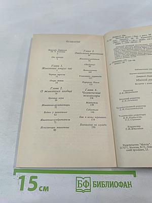 Мясной рулет