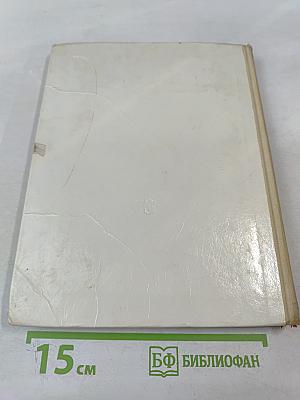 Физика 10 класс