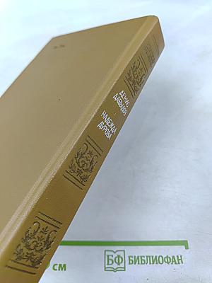 Дневник партизанских действий 1812 г. Записки кавалерист-девицы