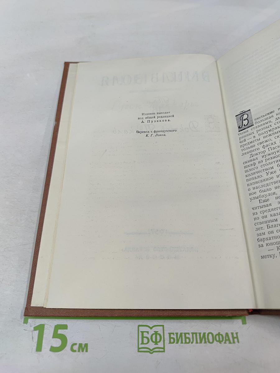 Доктор Паскаль. Том 16