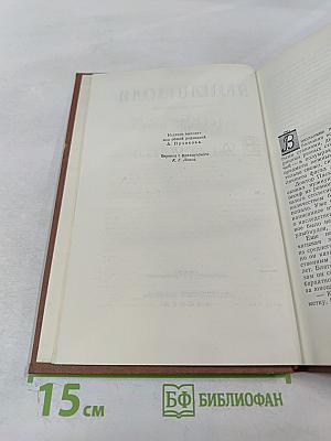 Доктор Паскаль. Том 16