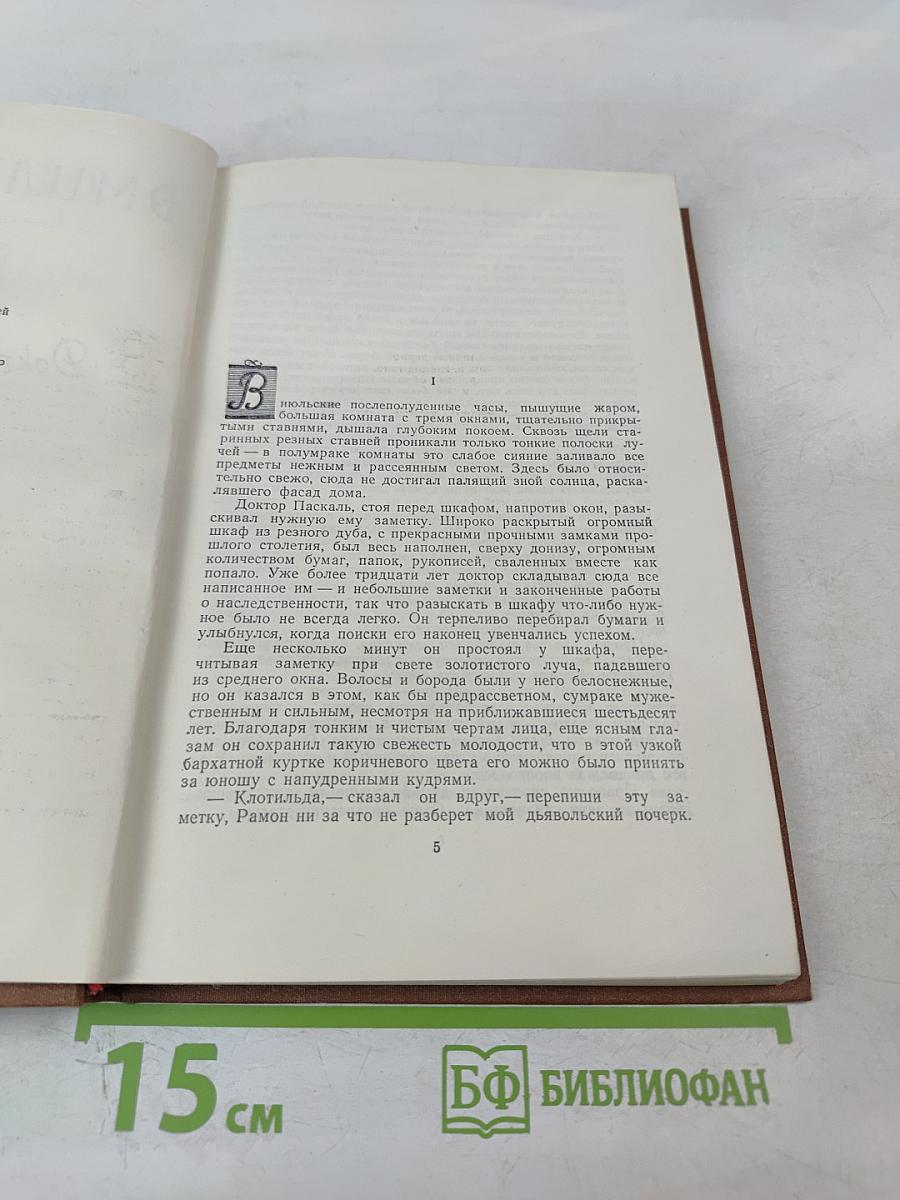 Доктор Паскаль. Том 16