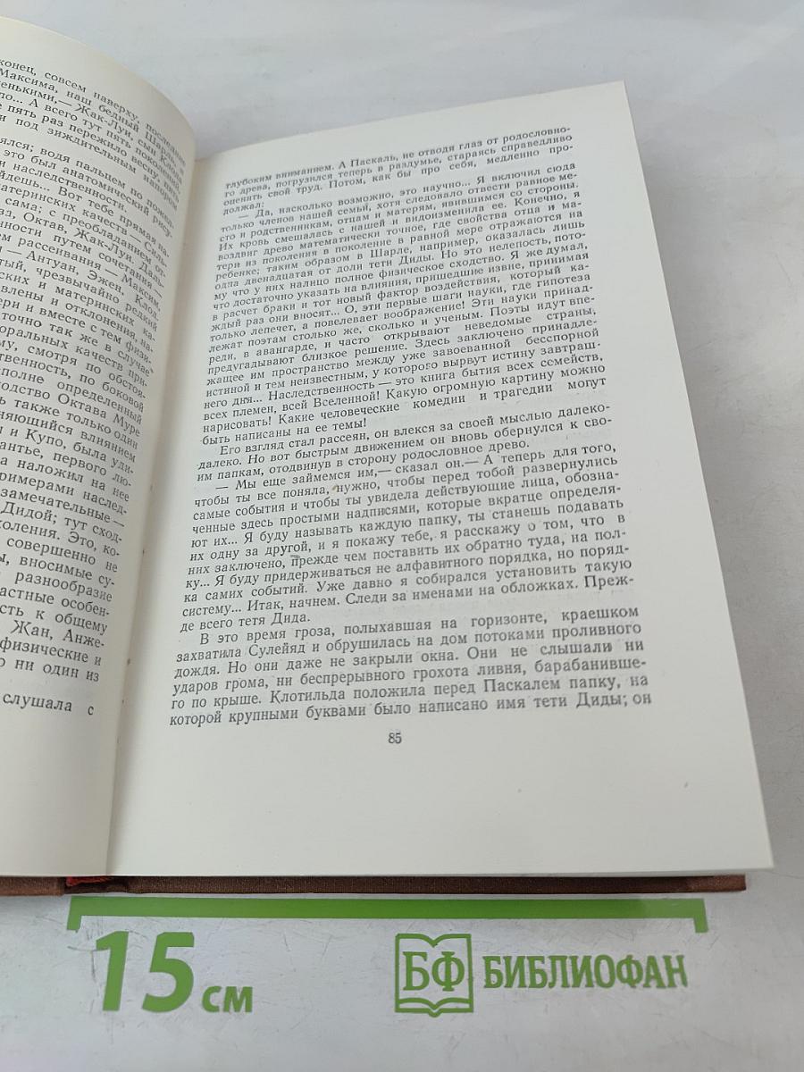 Доктор Паскаль. Том 16