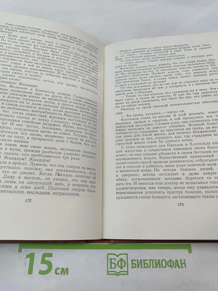 Доктор Паскаль. Том 16