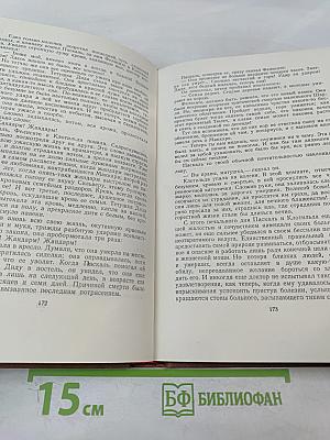 Доктор Паскаль. Том 16