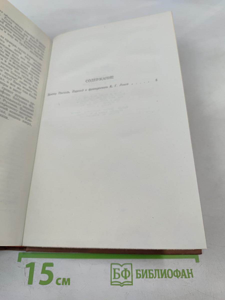 Доктор Паскаль. Том 16