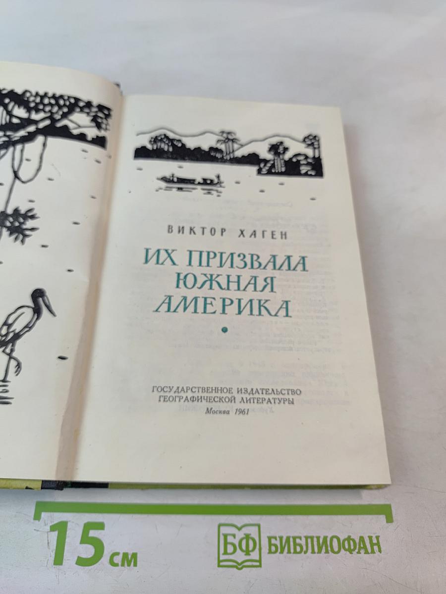 Их призвала Южная Америка