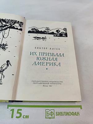 Их призвала Южная Америка