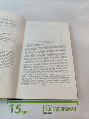 Их призвала Южная Америка