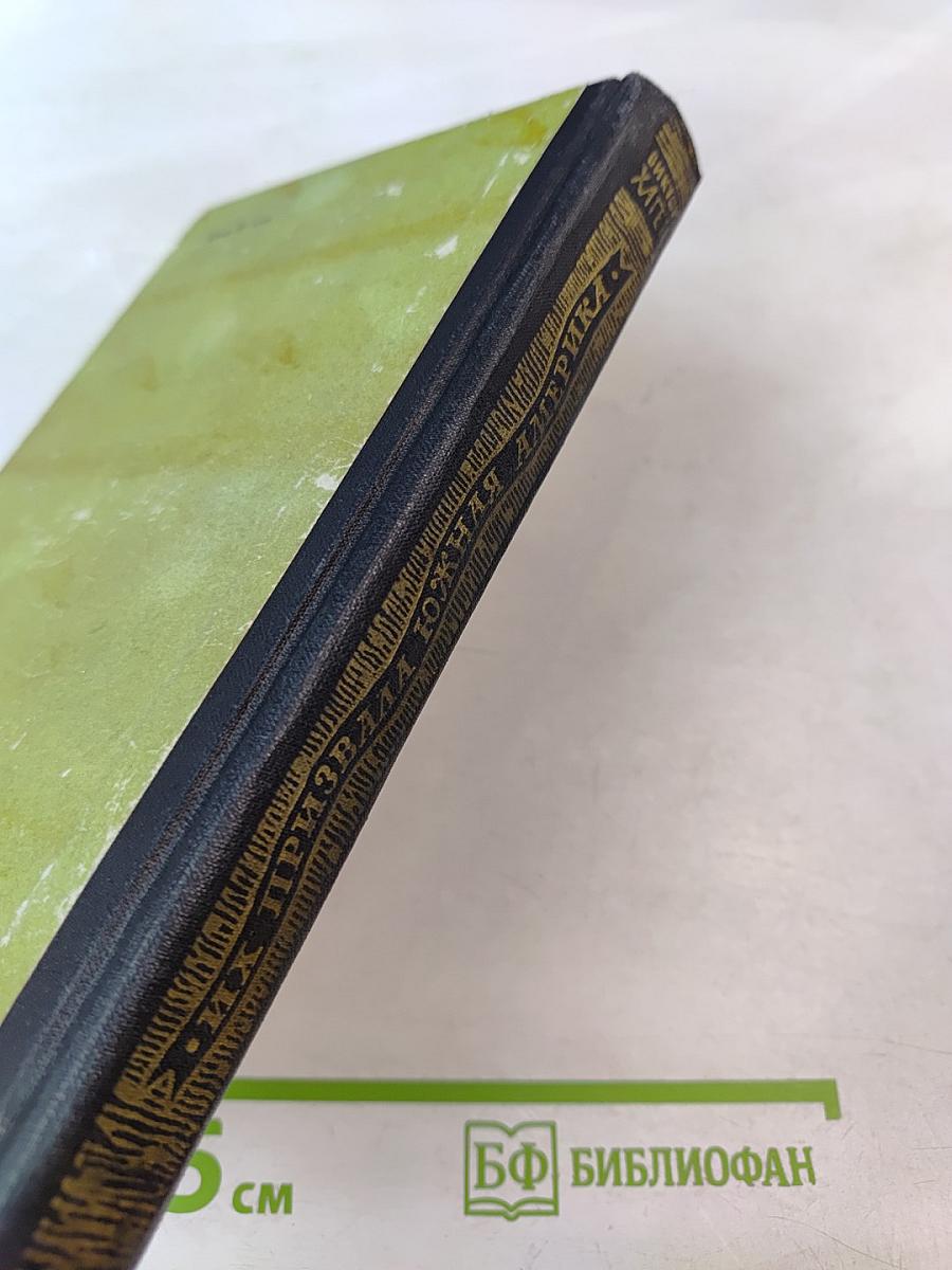 Их призвала Южная Америка