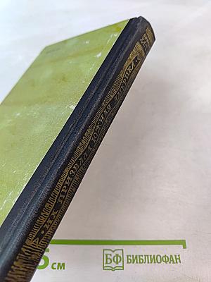 Их призвала Южная Америка