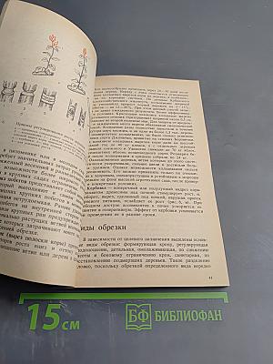 Обрезка плодовых деревьев в интенсивных насаждениях