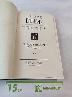 Человеческая комедия. Том 17