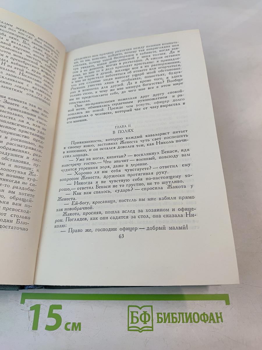 Человеческая комедия. Том 17