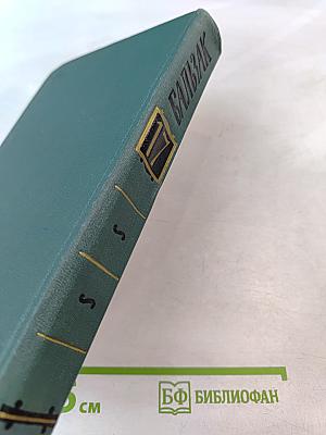 Человеческая комедия. Том 17