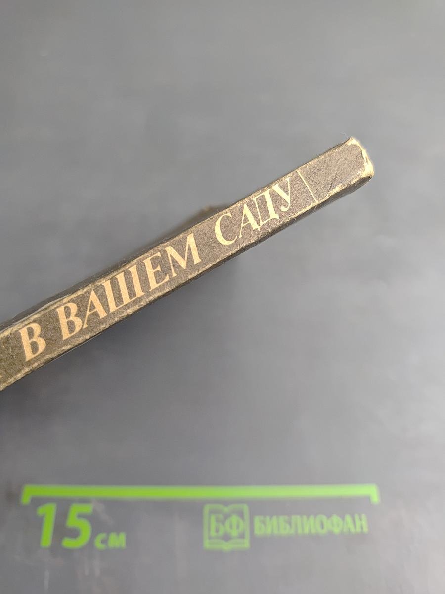 Яблоня в вашем саду