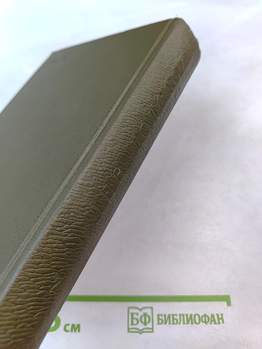 Война и мир. Том седьмой