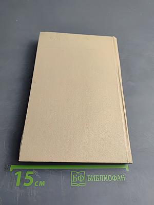 Аул Шапсуг улыбается