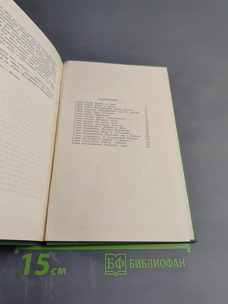 Семья Ульяновых. Роман-хроника