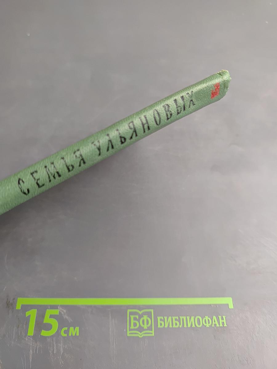 Семья Ульяновых. Роман-хроника