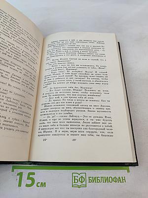Собрание сочинений. Том двадцать пятый: Наш общий друг. Книга третья и четвертая