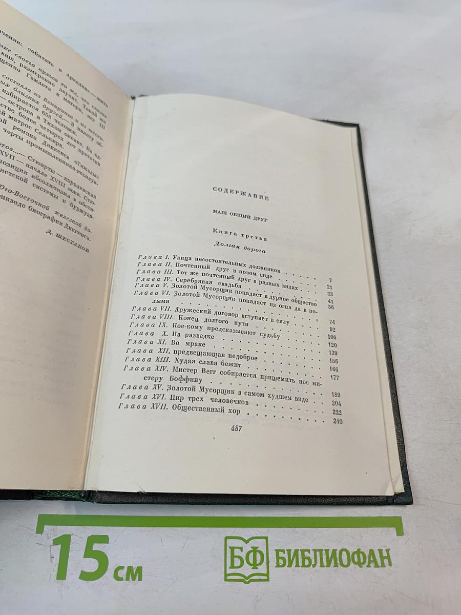 Собрание сочинений. Том двадцать пятый: Наш общий друг. Книга третья и четвертая