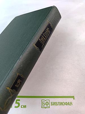 Собрание сочинений. Том двадцать пятый: Наш общий друг. Книга третья и четвертая