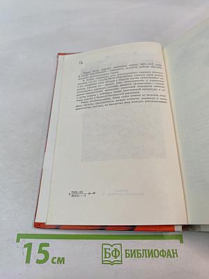 Огни впереди