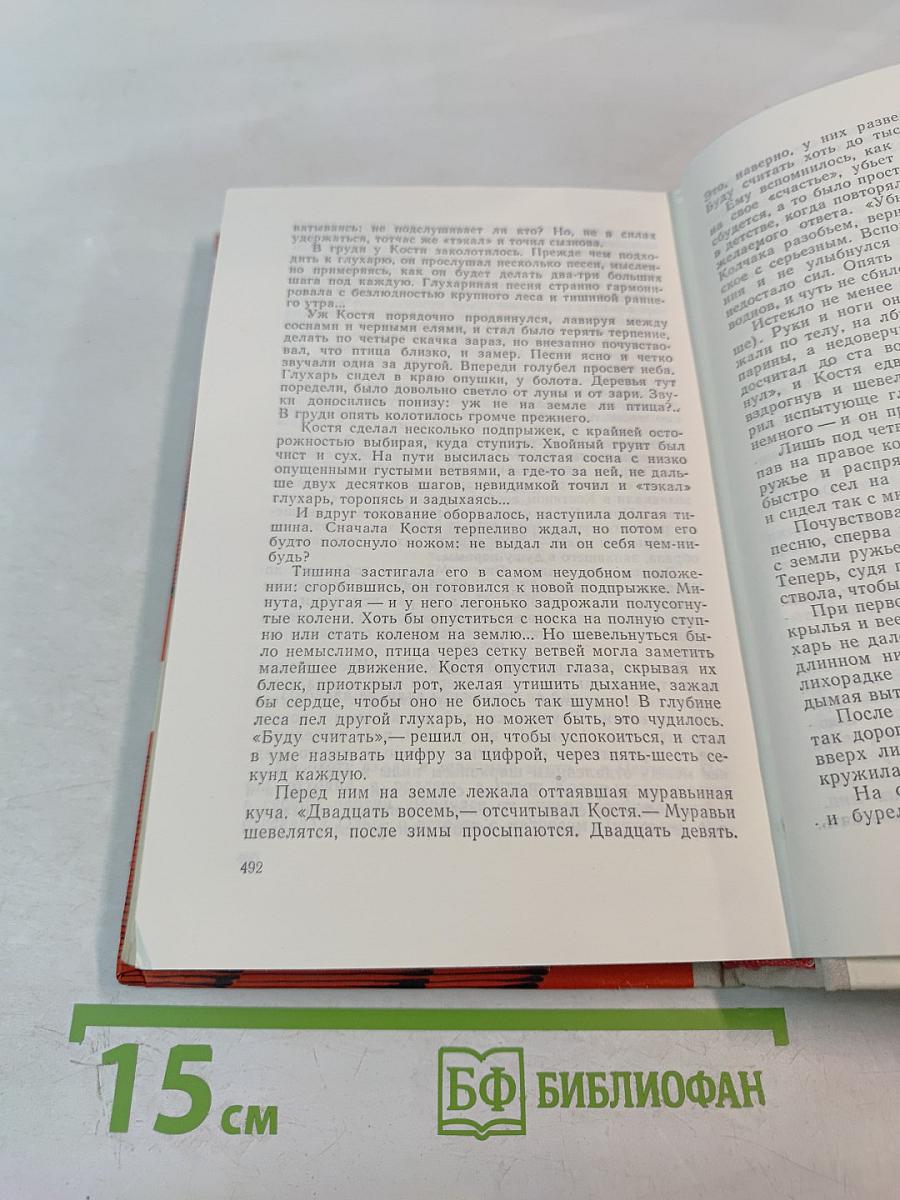 Огни впереди