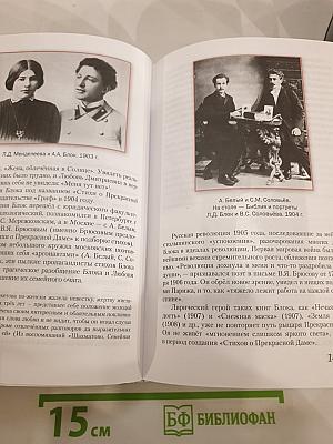 Литература. 11 класс. Часть I. Базовый уровень
