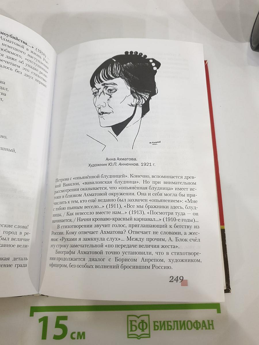 Литература. 11 класс. Часть I. Базовый уровень