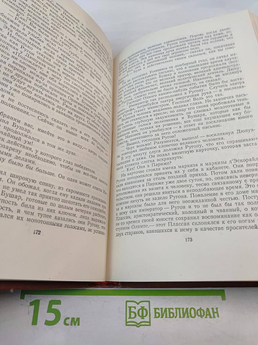 Его превосходительство Эжен Ругон. Том 5