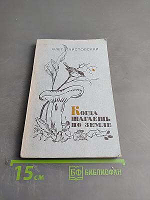 Когда шагаешь по земле