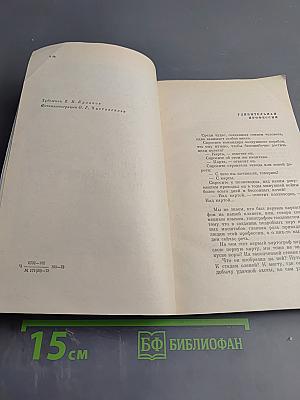 Когда шагаешь по земле