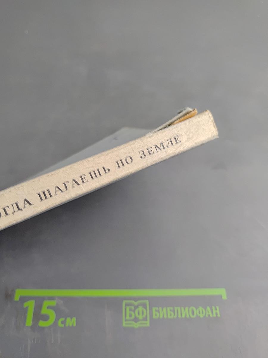 Когда шагаешь по земле