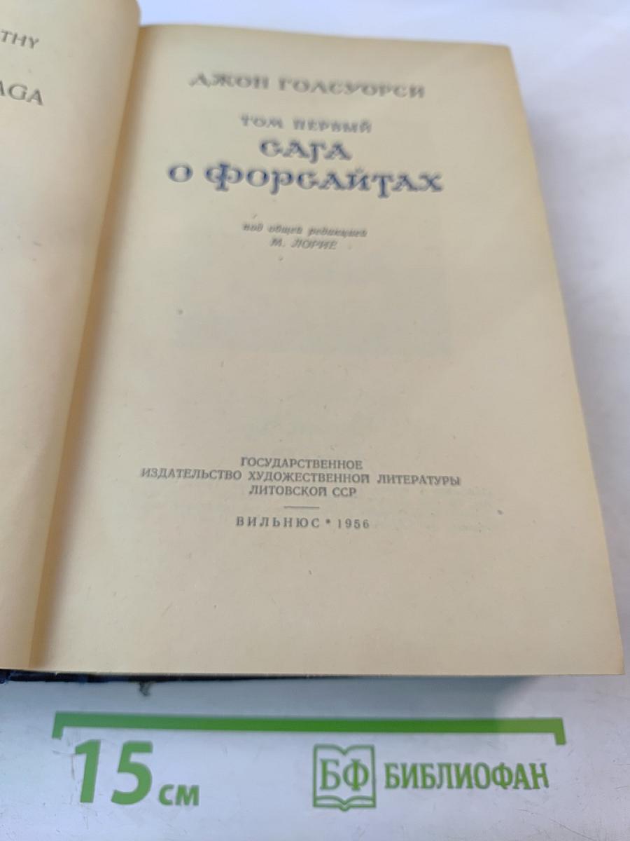 Сага о Форсайтах, Том Первый