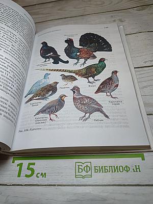 Биология. Животные. 7 класс
