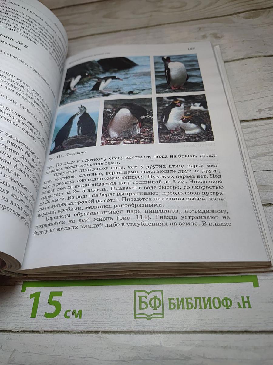 Биология. Животные. 7 класс