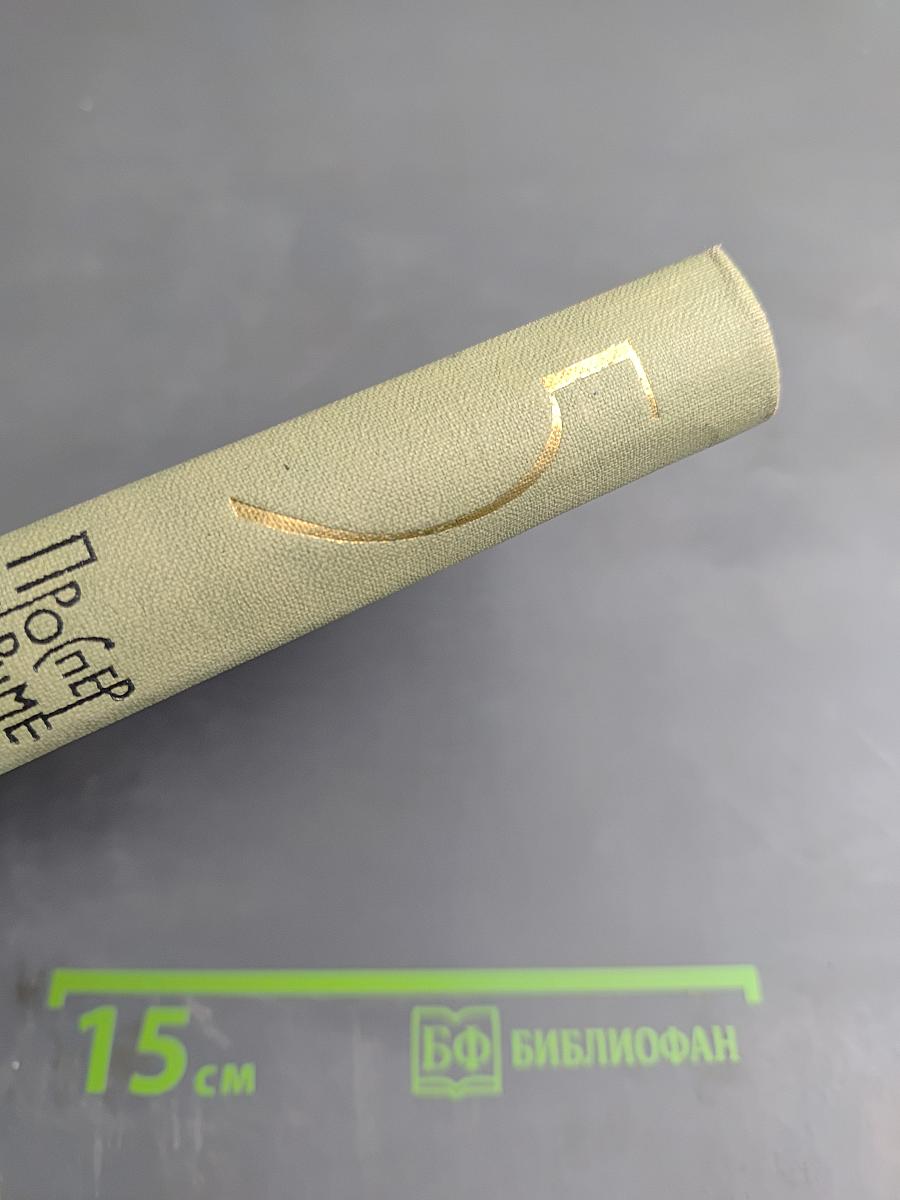 Собрание сочинений в шести томах. Том 5. Путевые очерки