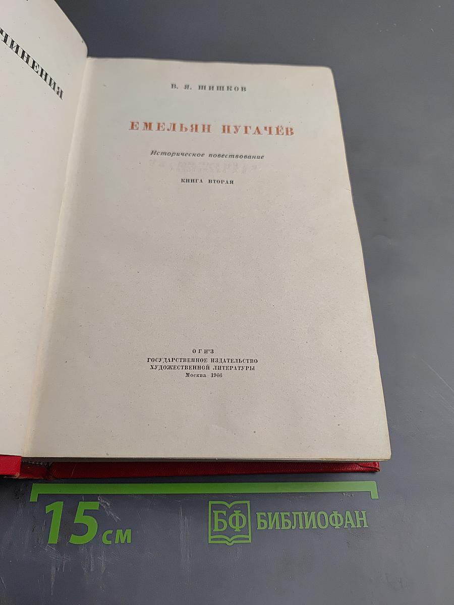 Емельян Пугачёв. Книга вторая. Часть первая
