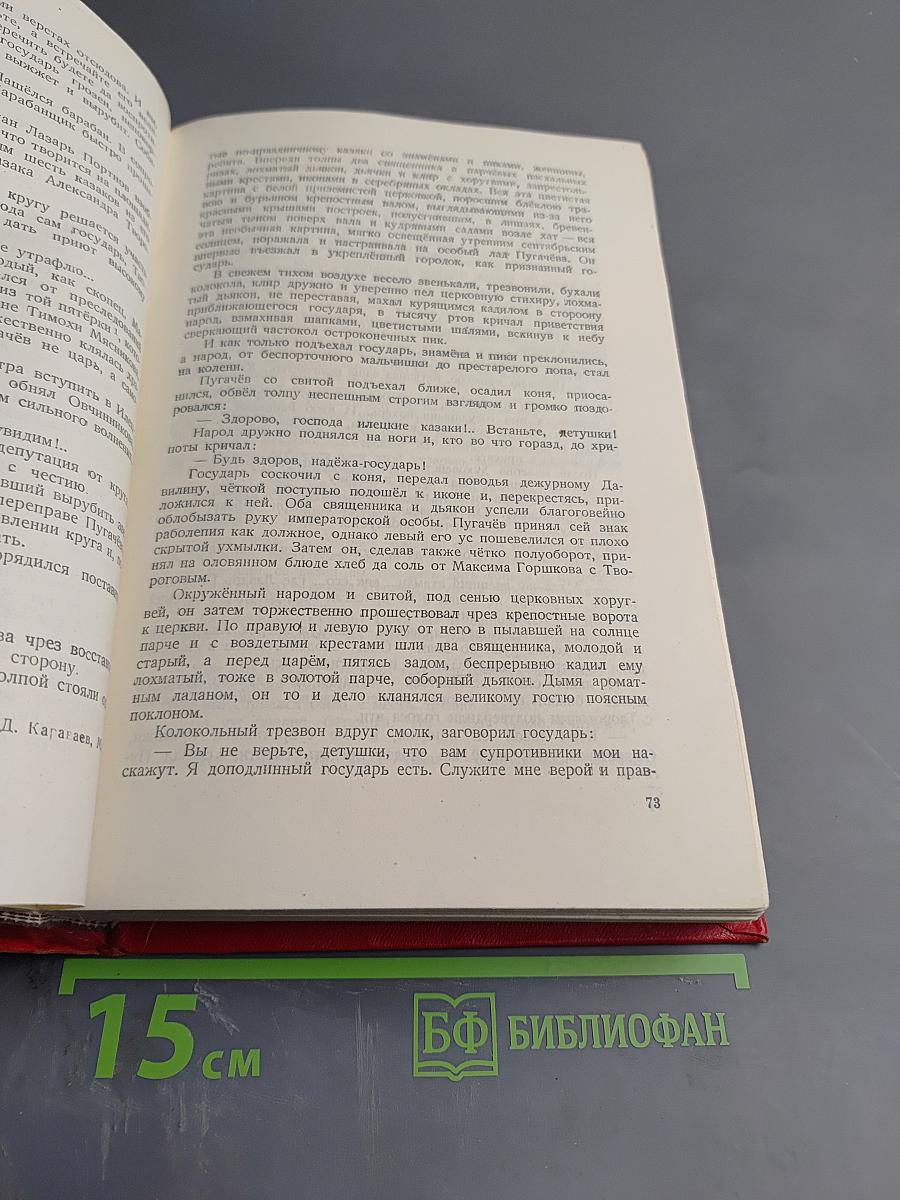 Емельян Пугачёв. Книга вторая. Часть первая