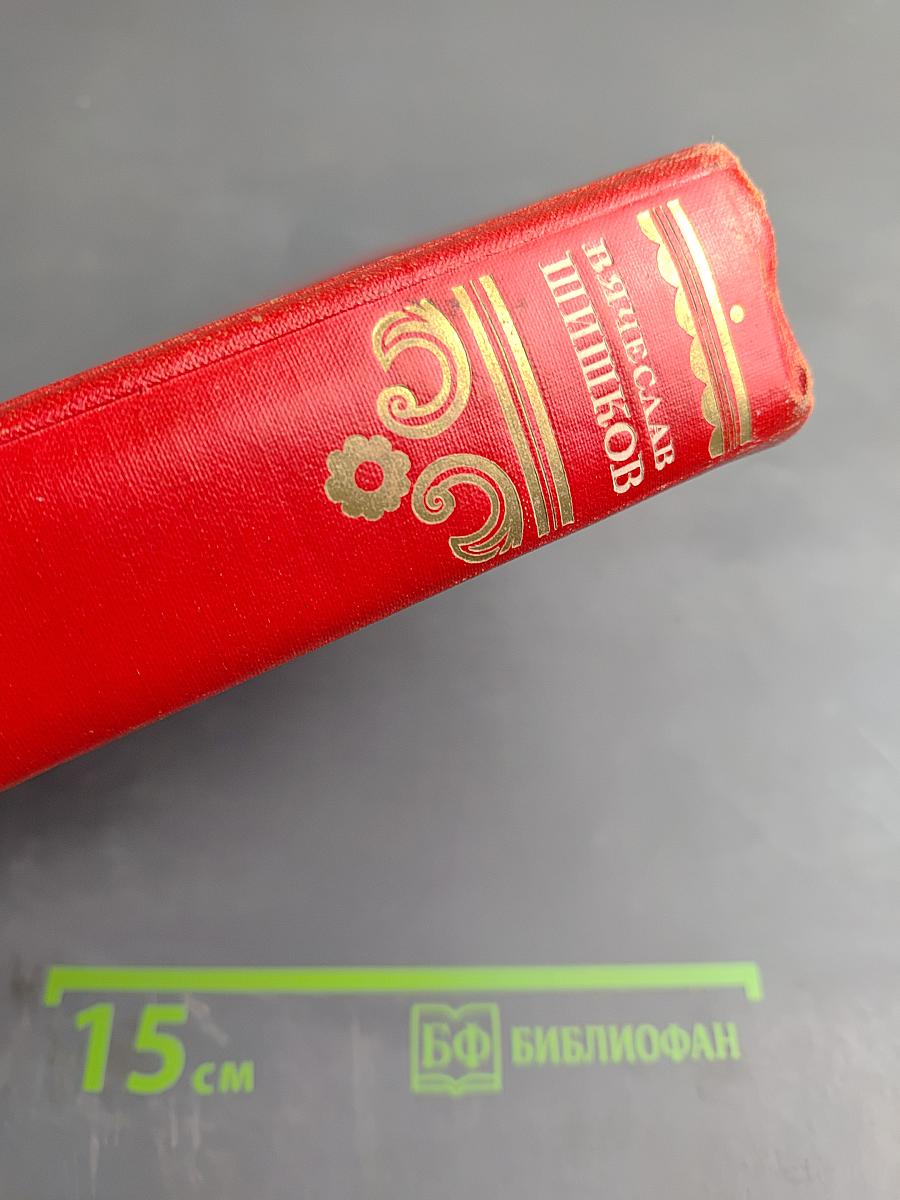 Емельян Пугачёв. Книга вторая. Часть первая