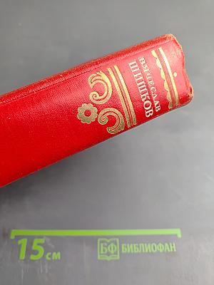 Емельян Пугачёв. Книга вторая. Часть первая