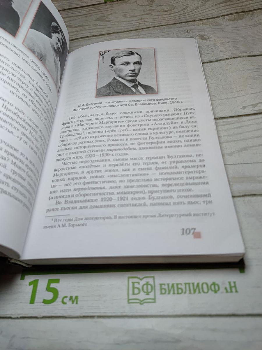 Литература. Учебник для 11 класса. Базовый уровень. Часть II