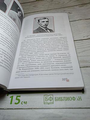 Литература. Учебник для 11 класса. Базовый уровень. Часть II