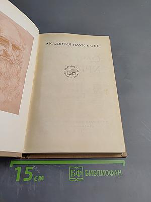 Леонардо да Винчи